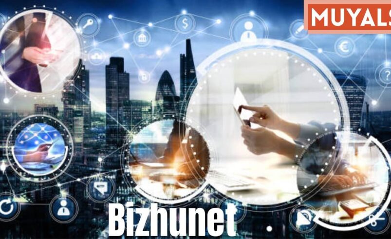 bizhunet