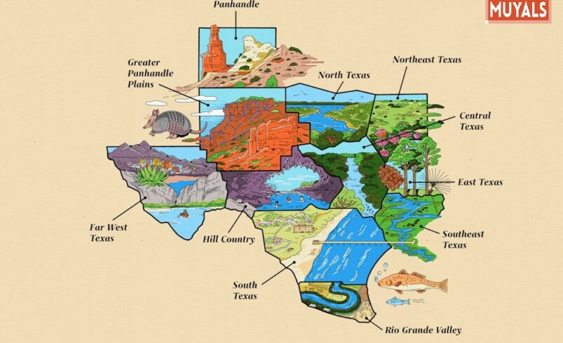 Complete Guide to the Texas Map and Its Geographic Features