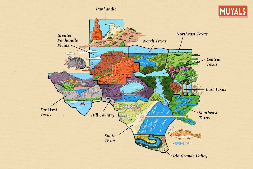 Complete Guide to the Texas Map and Its Geographic Features